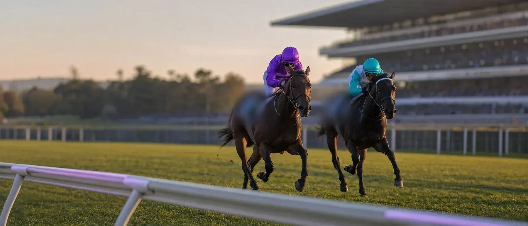 Chevaux au galop sur un hippodrome, pour un code promo paris hippiques